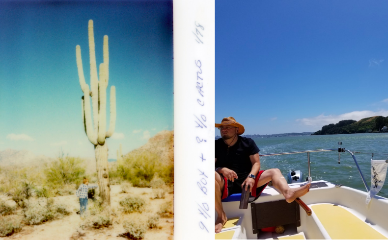 Cactus and ocean.